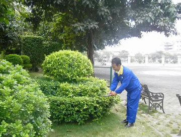 綠化養(yǎng)護如何提高管理水平？